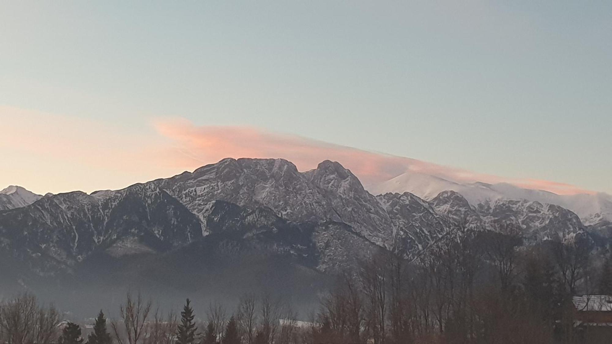 Villa Fortuna - Regionalne Apartamenty & Spa - Sauna, Grill, Jacuzzi Z Widokiem Na Tatry Zakopane Szoba fotó